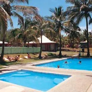 Koala Airlie Beach